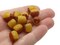 12 12mm x 10mm Tan and Brown Vintage Lucite Barrel Two Tone Plastic Beads